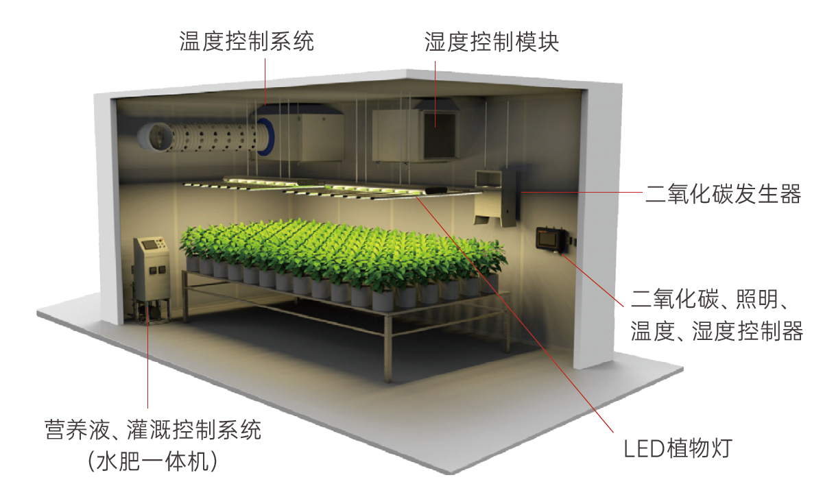 1712469862309570.png 植物成长.png
