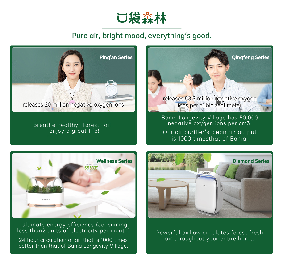 1717492502935360.jpg 口袋丛林-纯英文.jpg